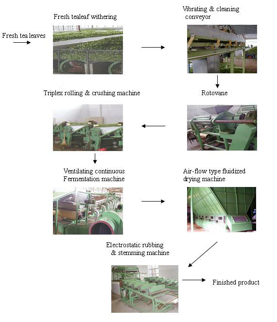 Tea Manufacturing Process Flow Chart